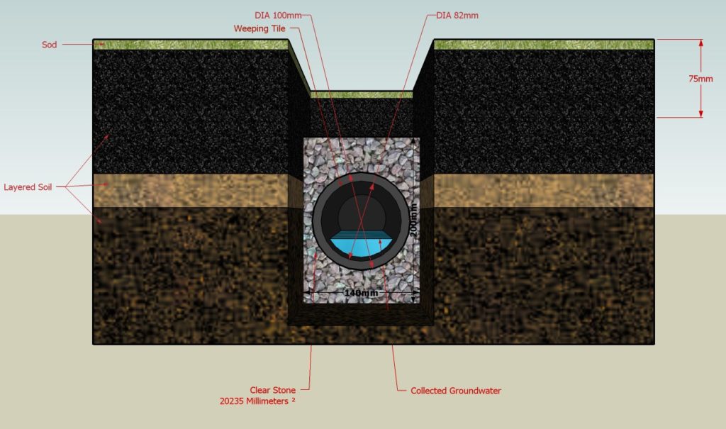 French Drain vs. Trench Drain: Which One Do You Need?