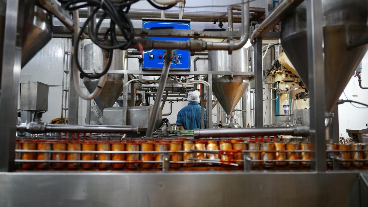 Types of Facilities Need a Process Piping Contractor in Northern California